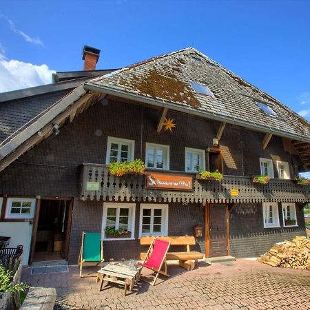 Wohlfuehl-Ferienwohnung 80 Qm, 8 Personen, Aussicht & Heimkino Тодтнау Екстер'єр фото