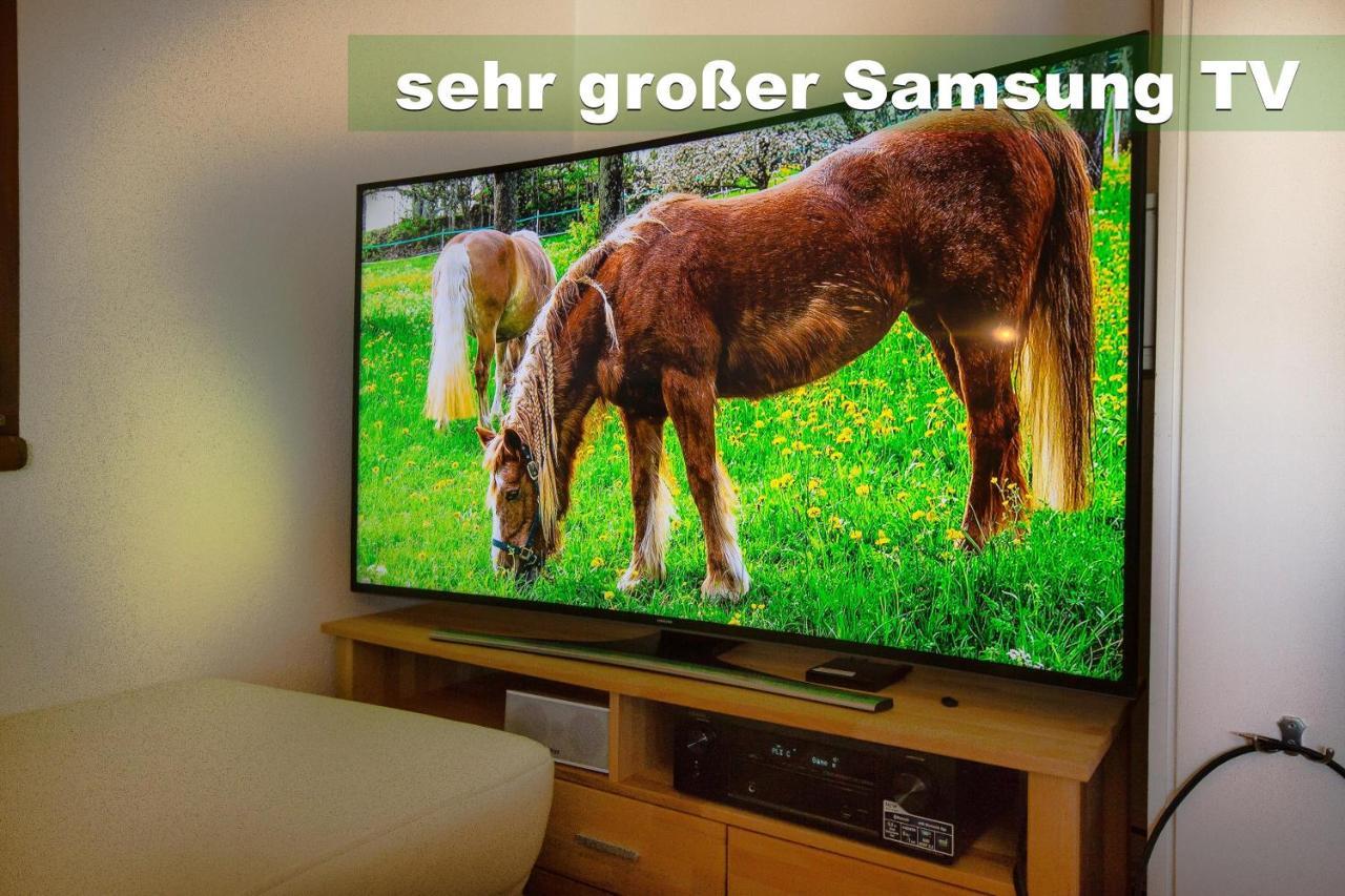 Wohlfuehl-Ferienwohnung 80 Qm, 8 Personen, Aussicht & Heimkino Тодтнау Екстер'єр фото